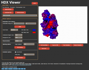 HDX-Viewer: interactive 3D visualization of hydrogen-deuterium exchange data