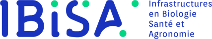 Logo IBiSA